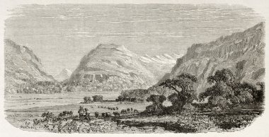 Bryn Myrddin