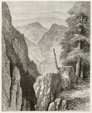 lierbach Vadisi