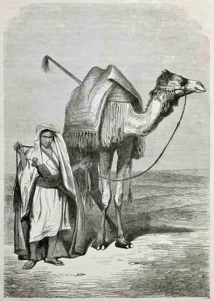 Хлопчик і верблюд — стокове фото