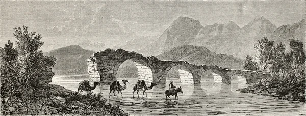 Kamelen doorwaden een rivier — Stockfoto