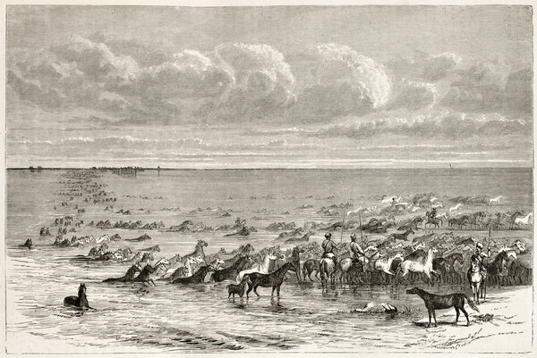 Horses fording Volga