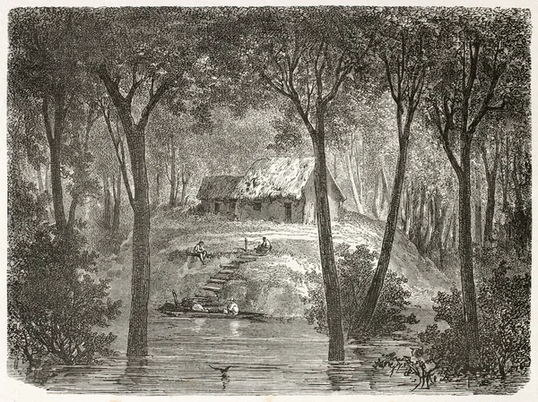 Cabaña en el bosque — Foto de Stock