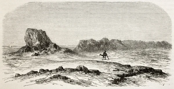 Seleucia ve