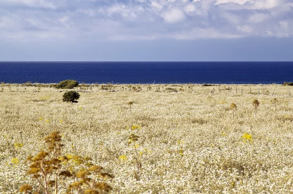 San Vito novodecies — Stockfoto