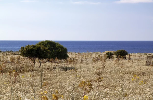 San Vito vicies — Φωτογραφία Αρχείου