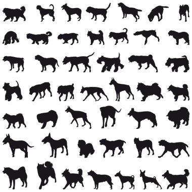 Köpekler silhouettes