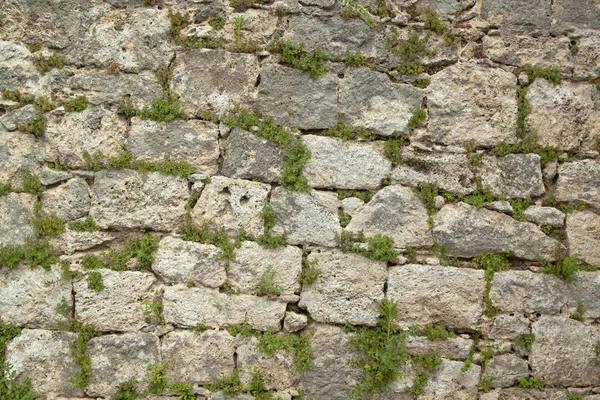 Stará kamenná zeď bis — Stock fotografie