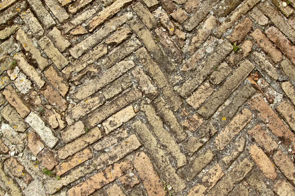 Herringbone bricks bis — Stock Photo, Image