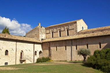San clemente cinsiyetler
