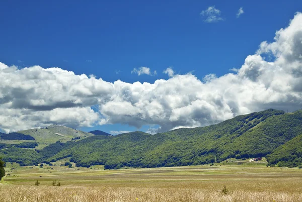 Altopiano delle cinquemiglia kwartaal — Stockfoto