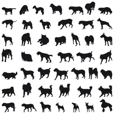 Köpekler silhouettes