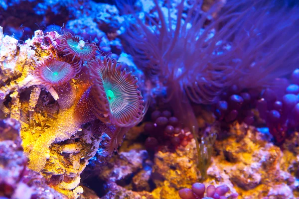 Laut malam — Stok Foto