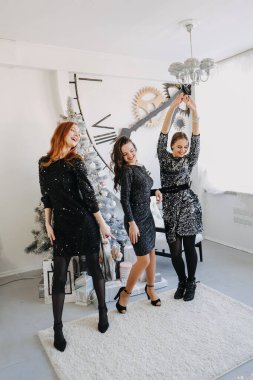 Noel kutlaması, yeni yıl partisi, şenlikli arkadaşlar bir araya gelir ve partiler. Üç güzel genç bayan yeni yılı küçük arkadaş grubuyla kutluyor.