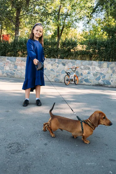 Przyjaźń dzieci i psów. Mała dziewczynka spaceruje z jamnikiem na smyczy. Cute Girl pieszo pies na chodniku w parku na świeżym powietrzu w przyrodzie. — Zdjęcie stockowe