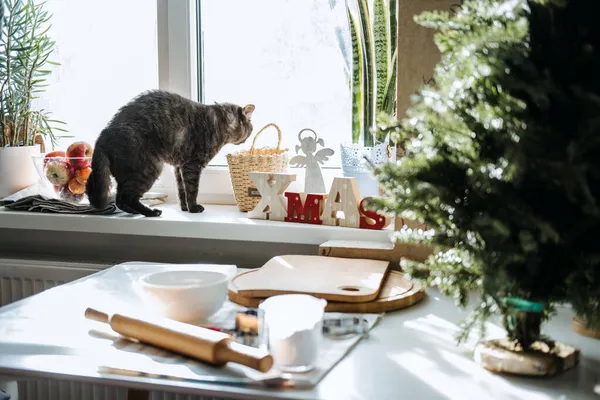 Продукти та інгредієнти на кухонному столі готові для приготування різдвяних пряників. Стиль життя Натюрморт Виготовлення різдвяних пряників вдома. Складові, посуд для випічки, штифт для прокатки тіста та посуд — стокове фото