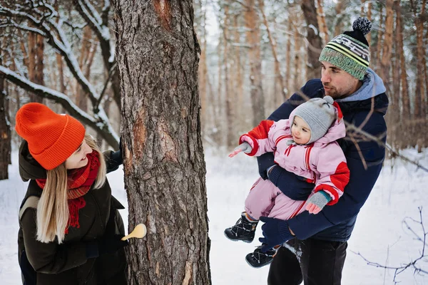 Rodzinne zajęcia na świeżym powietrzu na szczęśliwe ferie zimowe. Szczęśliwy ojciec i matka bawiący się z małą córeczką maluszka w zimowym parku, las. Szczęśliwa rodzina na zimowy weekend, Święta Bożego Narodzenia — Zdjęcie stockowe