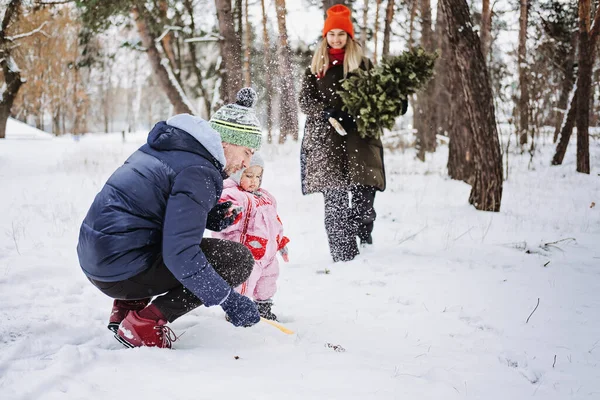 Rodzinne zajęcia na świeżym powietrzu dla szczęśliwych świąt Bożego Narodzenia. Szczęśliwy ojciec i matka bawiący się z małą córeczką maluszka w zimowym parku, las. Szczęśliwa rodzina dostaje choinkę — Zdjęcie stockowe