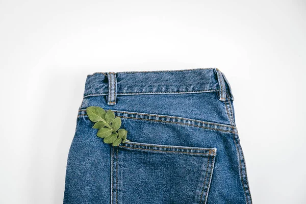 Moda sustentável, economia circular, jeans roupas ecológicas. Planta folha verde no fundo jeans jeans azul — Fotografia de Stock