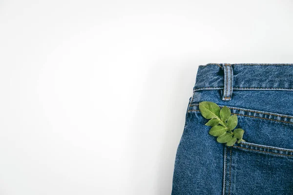 Sustainable fashion, Circular economy, denim eco friendly clothing. Green leaf plant on blue denim jeans background — Stock Photo, Image