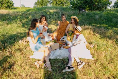 Galentines günü. Pijama partisi. Yaz Pikniği Partisi Fikirleri, arkadaşlarla dışarıda toplanma. Genç bayan kız arkadaşlar şarap içiyor, gülüyor, piknikte birlikte eğleniyorlar..