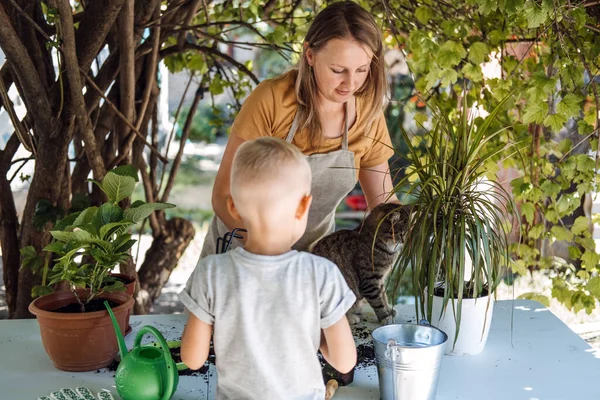 Family Planting Flowers Together. Spring Houseplant Care, repotting houseplants. Happy family mom and son kid boy planting Houseplants In Pots in backyard, garden — Stock Photo, Image