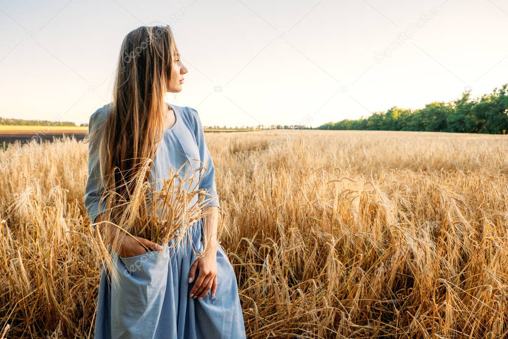 Ukrainian Young woman holding wheat crop on field during sunny day. Faceless portrait of unrecognizable mindful female in cotton dress among spikes in countryside