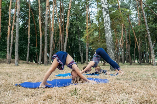 Семейный фитнес и йога. Счастливая мама тренируется с девочками на травянистой земле против деревьев в лесу. Молодая женщина занимается йогой на открытом воздухе со своими дочерьми вместе — стоковое фото