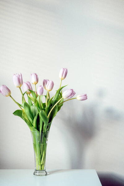 Mother day mockup tulip flowers. Minimal Banner mockup with lilac tulip flowers on white table and light wall background. Bouquet of delicate spring tulips in a minimalist style