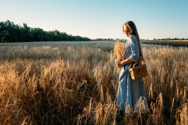 Connect with nature, Slow Down, Be Present, Get Into Your Senses. Peaceful alone Young woman in dress walking on wheat field at sunset summer day