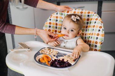 İlk katı yiyecekler. 6 aylık küçük bir çocuk için katı yiyecek. Yüksek sandalyedeki tatlı, gülümseyen bebek parmaklarıyla çeşitli katı yiyecekler yiyip tadıyor. Sağlıklı çocuk beslenmesi