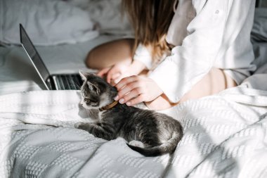 Evden çalışmak, uzaktan kumandalı internet işi, ev ofisi. Yatakta dizüstü bilgisayarda çalışan ve tatlı kedi yavrusuyla oynayan bir kadın.
