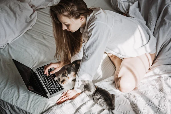 Work from home, remote online work, home office. Woman working on laptop in bed and playing with cute fluffy cat kitten