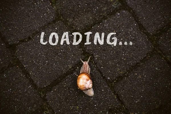 Loading, downloading, slow internet speed concept with word loading and Brown garden snail crawling down the road