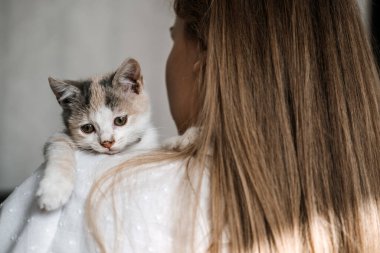 Kedi evlat edinme, barınaklardan kedi evlat edinme. Evsiz bir evsizle oynayan kadının portresi. Evlatlık gri kedi yavrusunu evde evlat edinmiş.