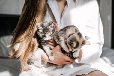 Kedi evlat edinme, barınaklardan kedi evlat edinme. Evsiz iki evsizle oynayan kadının portresi. Evlatlık gri kedi yavrularını evde evlat edinmiş.