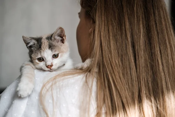 Cat Adoption, Adopt kitten from rescues and shelters. Portrait of woman playing with outbred homeless adopted grey kitten in bed at home