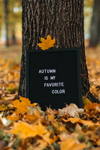 Letter Message Board Text Autumn Favorite Color Fall Leaves Park — Stockfoto