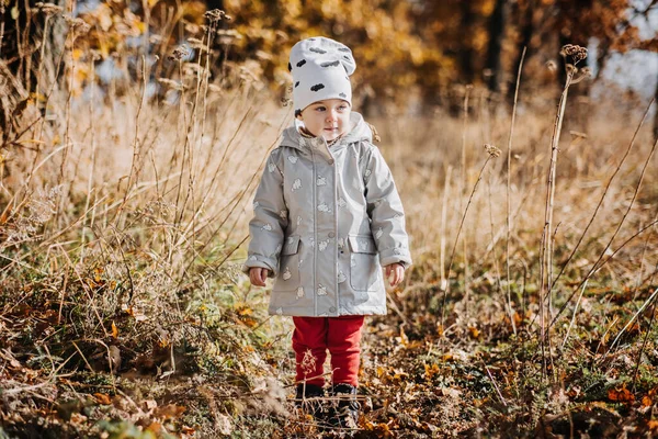 Autumn outdoor candid portrait of cute baby toddler girl in fall nature background. Little baby girl walk in autumn park