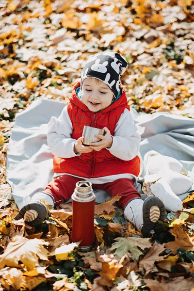 Little cute girl drinks tea from a thermos in the autumn park. Cute little toddler baby with red thermos and cup in autumn picnic in fall nature background.