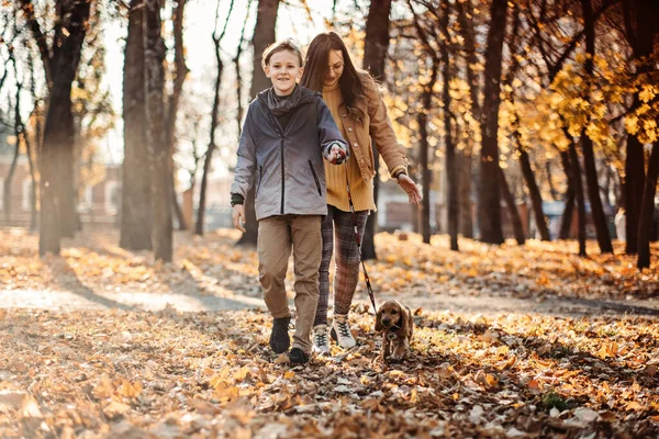 Happy Family Mother Teen Boy Son Having Fun Cocker Spaniel — Zdjęcie stockowe