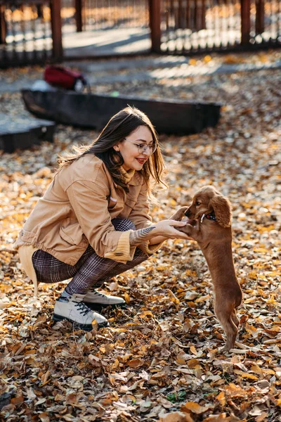 Pet Love. Cute English cocker spaniel puppy in the hands of the owner in autumn park. Woman walk with little English cocker spaniel puppy dog in fall nature background