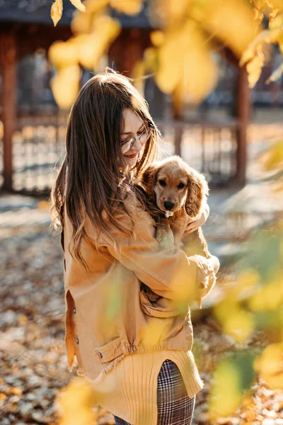 Caring Your Pet Autumn Care Dogs Skin Coat Autumn Walkies — Zdjęcie stockowe