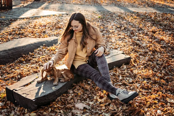 Caring Your Pet Autumn Care Dogs Skin Coat Autumn Walkies — Stockfoto