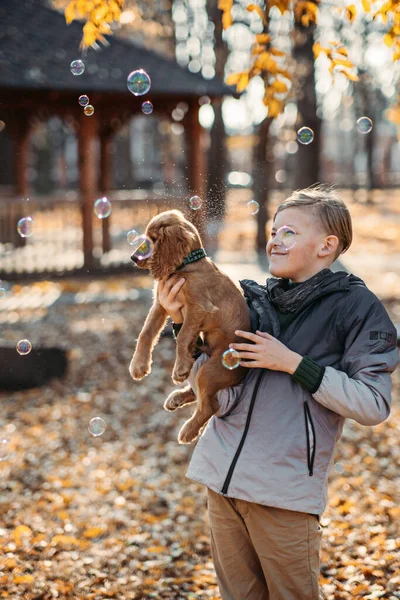 Best Pets Teens Teenage Boy His Cute Cocker Spaniel Puppy — Stockfoto