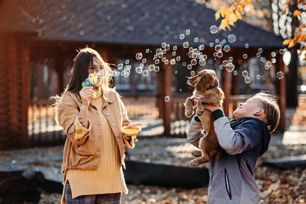 Happy Family Mother Teen Boy Son Cute Cocker Spaniel Puppy — Stockfoto