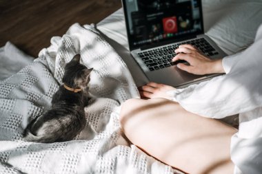 Cat and notebook. Little kitten looking the laptop while its female owner working with him at home. Woman working on laptop in bed and playing with cute fluffy cat kitten