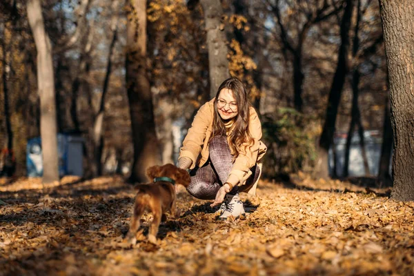 Improving Dogs Immune System. Boost puppy Immune System. Happy woman walking with cute cocker spaniel puppy in autumn park