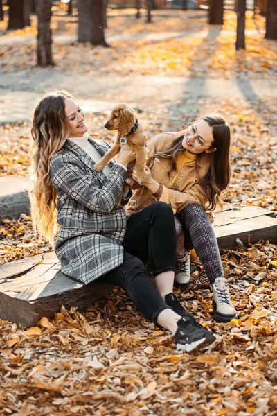 Two Happy Female Friends Girls Having Fun Cute Cocker Spaniel — Zdjęcie stockowe