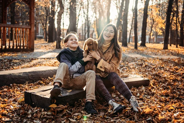 Autumn Walks Dog Happy Family Mother Teen Boy Son Having — Zdjęcie stockowe