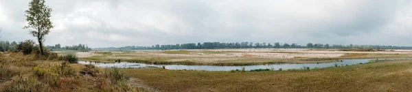 Climate Change Europe Drying Low Water Level Vistula River Warsaw — Stock Photo, Image
